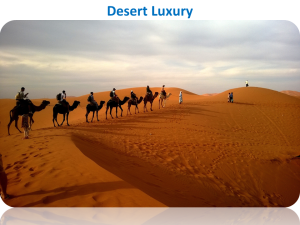 Desert Luxury in Middle East