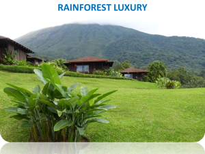 Rainforest Luxury