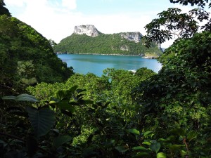 Angthong Rainforest