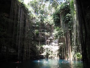 The Rainforest Pools