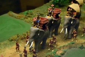 Elephant Safari